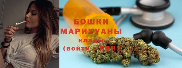 стафф Новодвинск