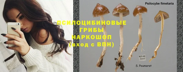 молекула духа Балахна