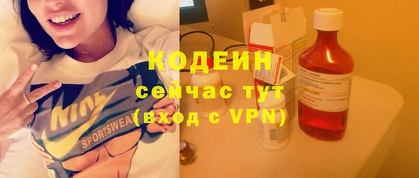молекула духа Балахна