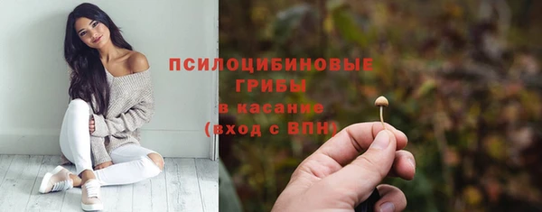 винт Баксан